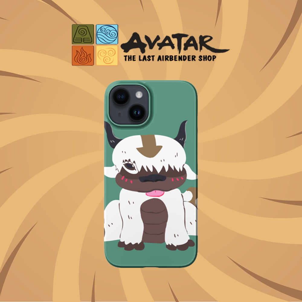 Avatar The Last Airbender Phone Case Collection